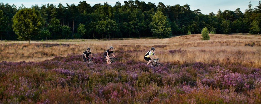 76D9374.jpg 76D9374.jpg