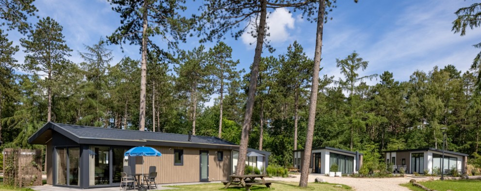 Frisling 4 De Haeghehorst .jpg
