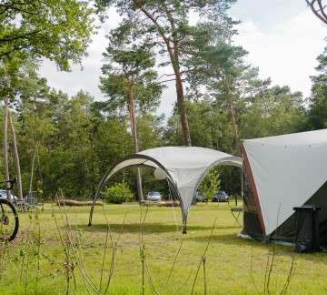Party gazebos allowed