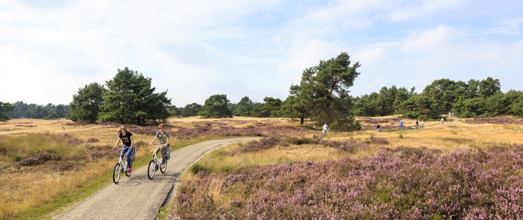 fietsen-in-de-omgeving-van-de-haeghehorst.jpg