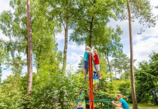 Kinderen op klimrek