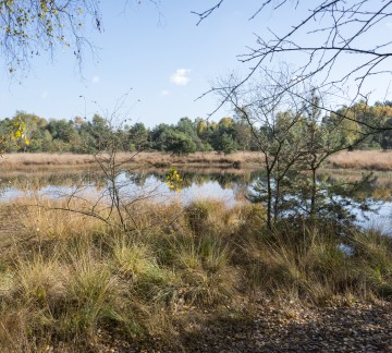 omgeving veluwe.jpg