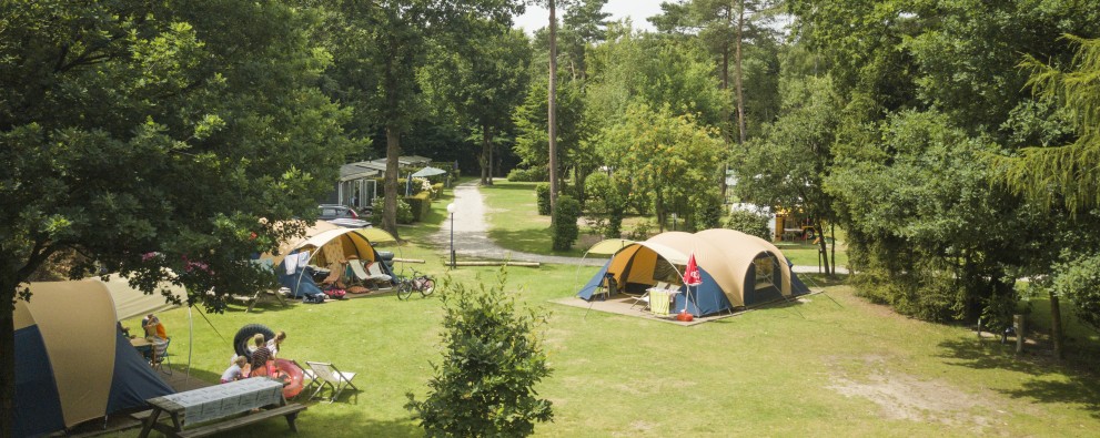Kampeerplekken omringd door Veluwse bossen bij De Haeghehorst