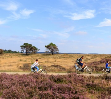 Nationaalpark De Hoge Veluwe _JDP9150830-5512s.jpg