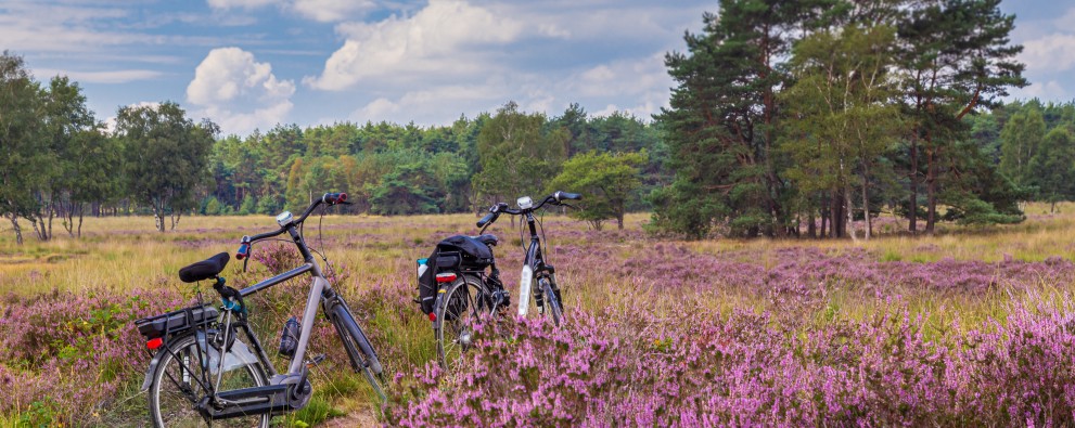 Fietsen Veluwe