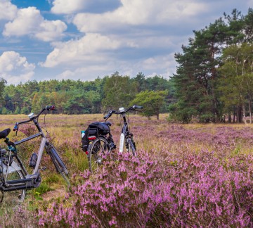 Fietsen Veluwe
