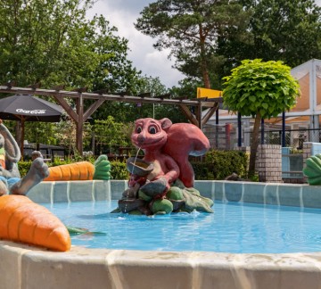 Zwembad kinderbad buiten