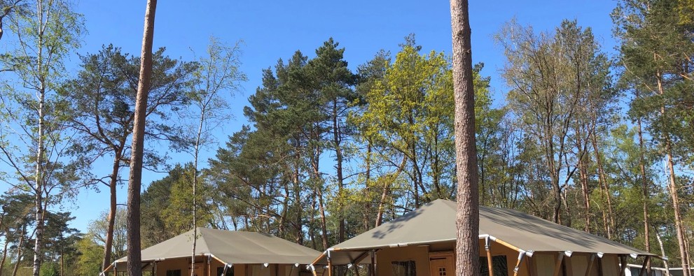 Veluwse Safari Cottage Haeghehorst Ermelo