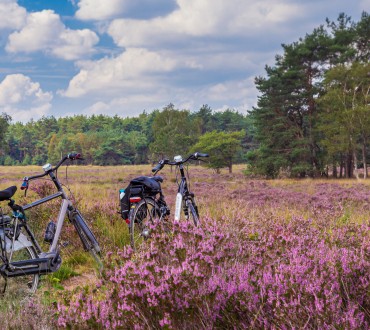 Fietsen Veluwe